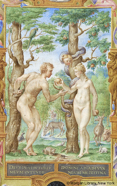 The Fall of Man